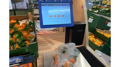 Die KI-gestützte Waage von Mettler Toledo erkennt Mandarinen sogar in der Plastiktüte und schlägt dem Kunden eine kleine Auswahl von möglicherweise passenden Zitrusfrüchten vor. (Foto: Retail Optimiser)