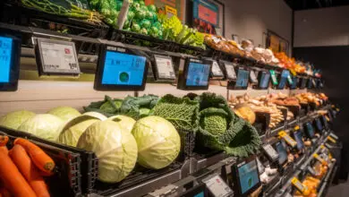 Auch das Wiegen von Obst und Gemüse soll automatisch mit geeichten Waagen von Mettler-Toledo erfolgen. Der Preis der entnommenen Ware wird auf den Displays des Waagenherstellers angezeigt werden. (Foto: Rewe Group)