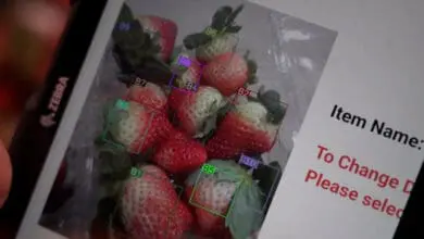 Albertsons is using an in-house developed AI solution for quality control of strawberries in distribution centres to identify different stages of ripeness more quickly. (Photo: Albertsons)