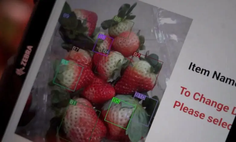 Albertsons is using an in-house developed AI solution for quality control of strawberries in distribution centres to identify different stages of ripeness more quickly. (Photo: Albertsons)