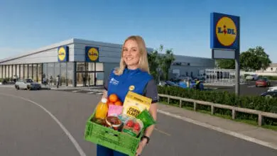 In Ireland, Lidl has integrated Click&Collect into its Lidl Plus App. (Photos: Lidl Ireland / Montage: The Retail Optimiser)