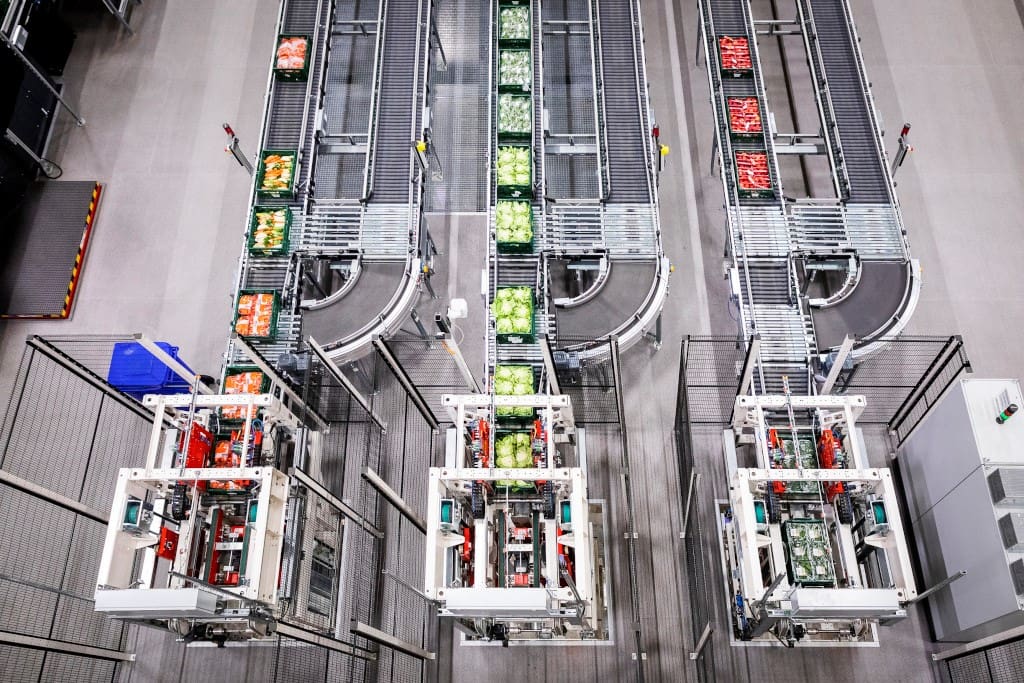 The automatic picking system for fruit and vegetables comes from BSS Bohnenberg. (Photo: Kaufland)